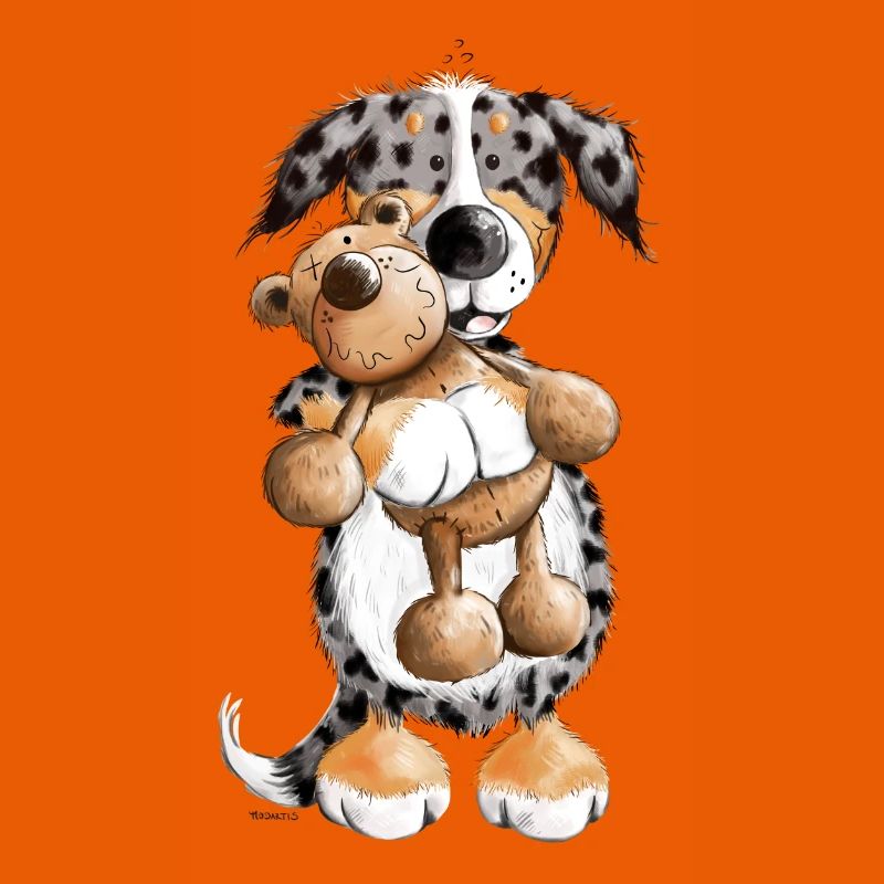 Australian Shepherd mit Teddy