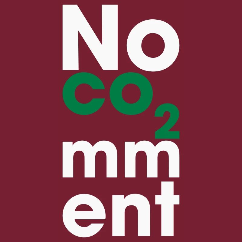No CO2 Comment – Saubere Energie Statement