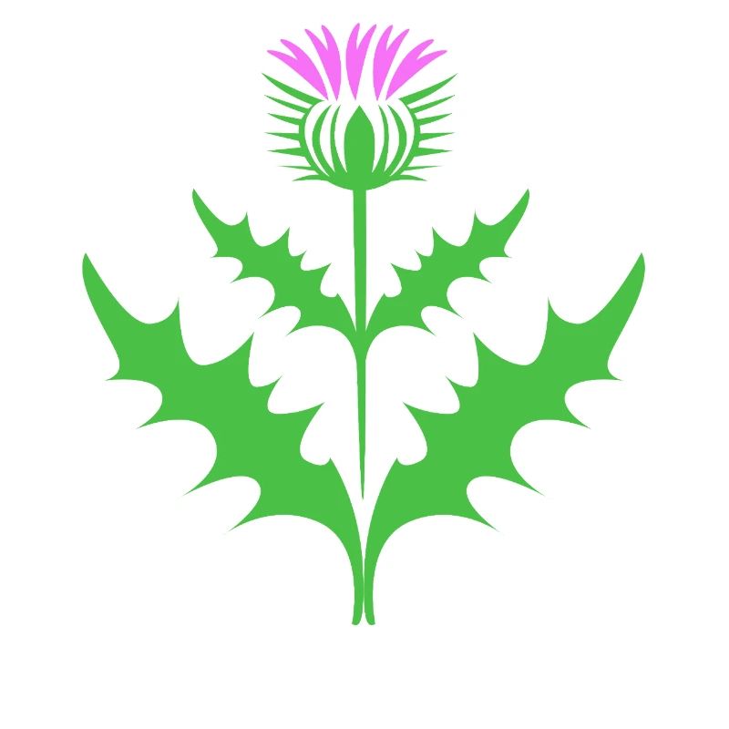 Écosse Écossais Écossais écossais