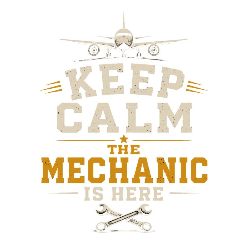 Aircraft Engineering Aviation Engineer Profession