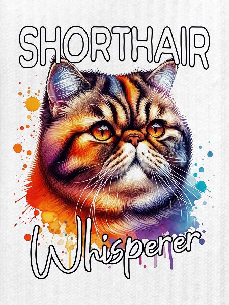 Exotische Kurzhaarkatze Flüsterer