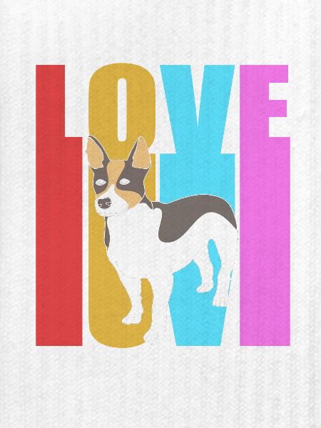 Rat Terrier