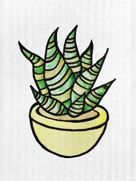 Sukkulenten-Aquarelltopf