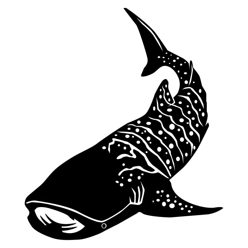 whaleshark 2