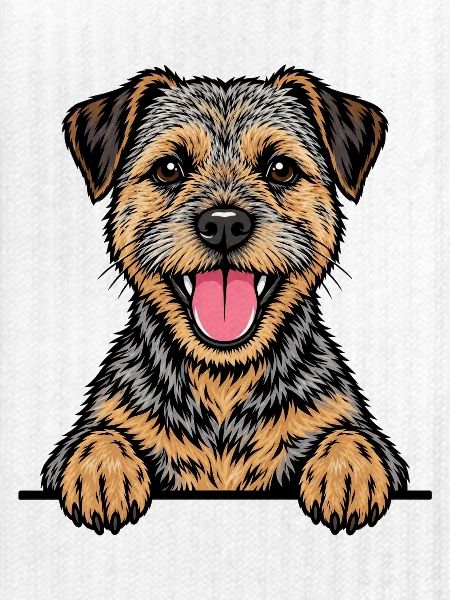 Border Terrier