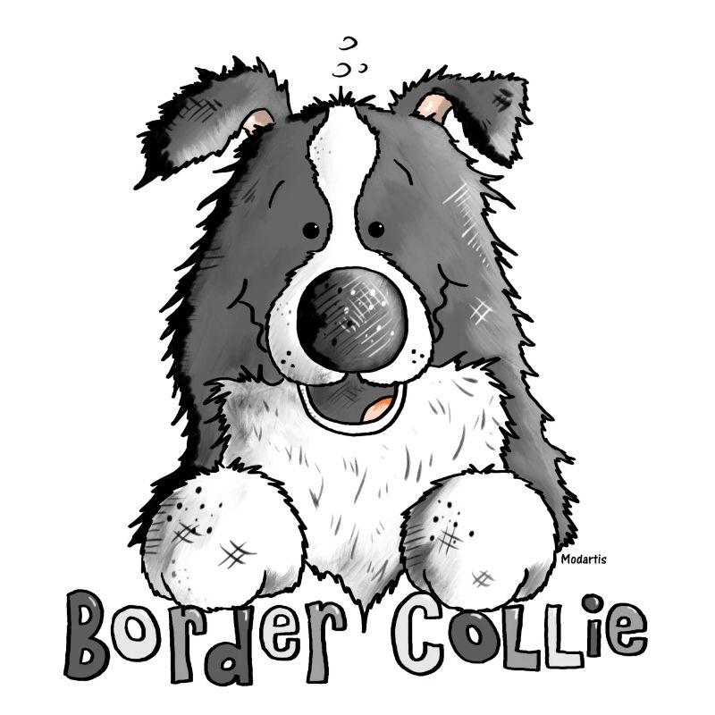 Petit Boder Collie - Chien de Berger