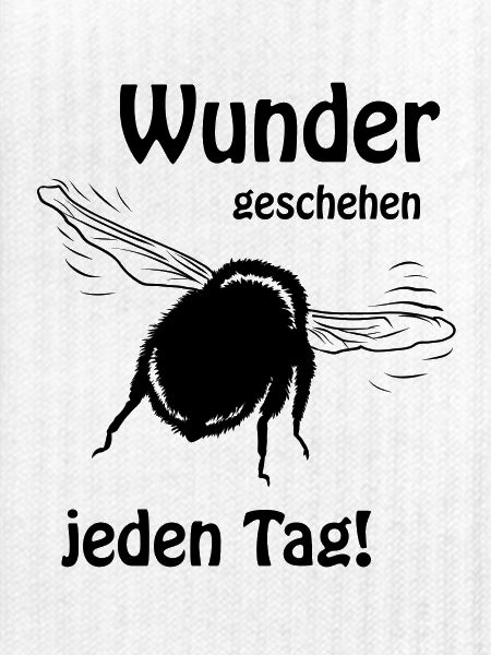 Hummel -Wunder