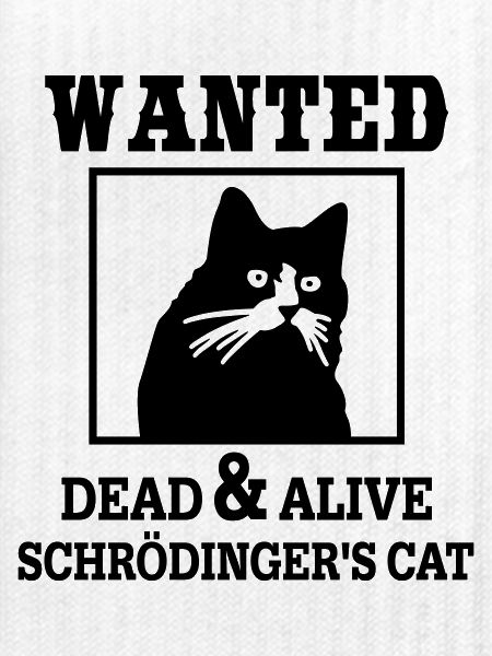 Schrödingers Katze gesucht, Nerdiges Quantenphysik