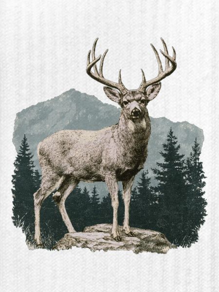 Hirsch mit Geweih