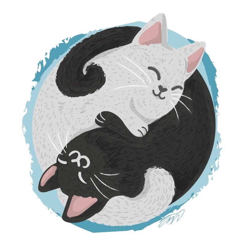 Jing Jang Katzen
