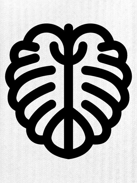 Monstera