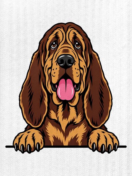 Bloodhound
