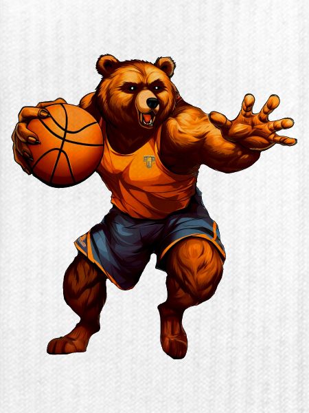 Basketball Bär