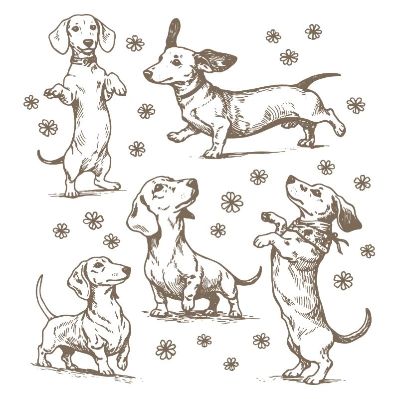 Teckel Teckel Chiens Teckels Teckel Chien teckel Teckel