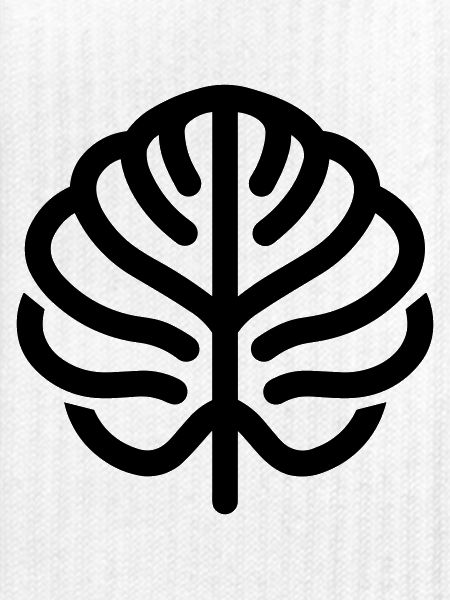 Monstera-Blatt