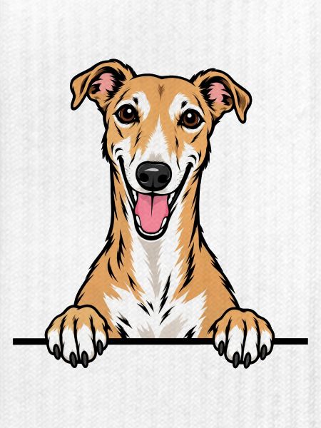 Greyhound