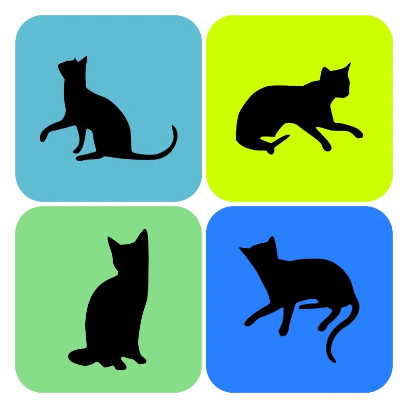 chat chat chat, cadeau