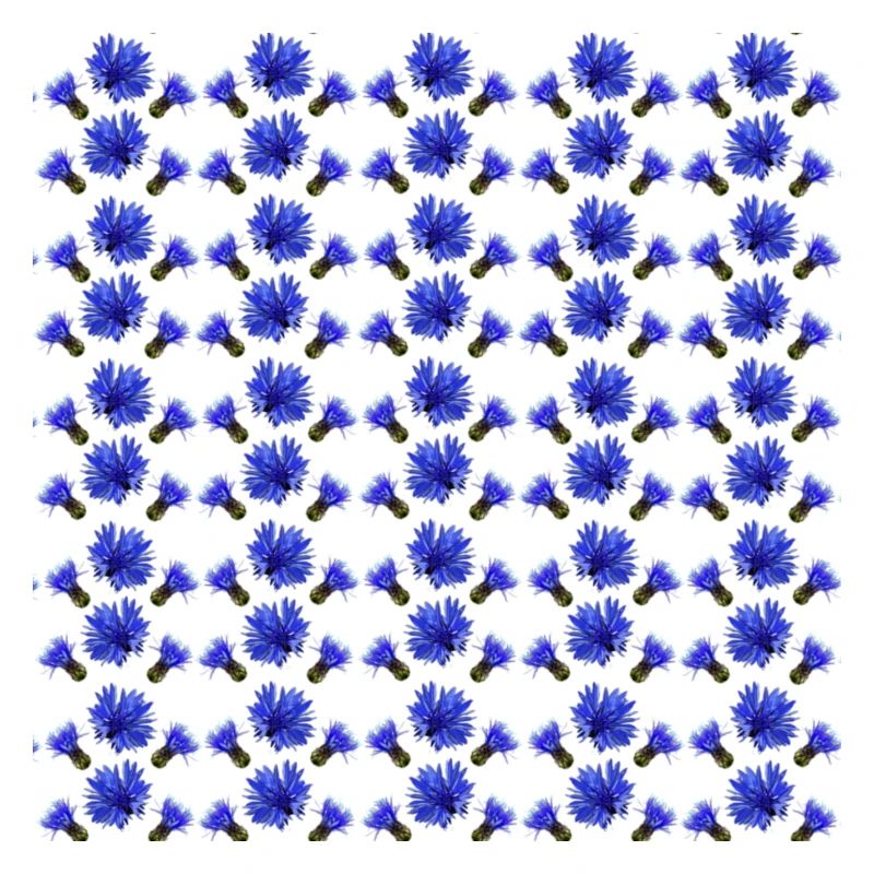 Cornflower Pattern, Gift Woman