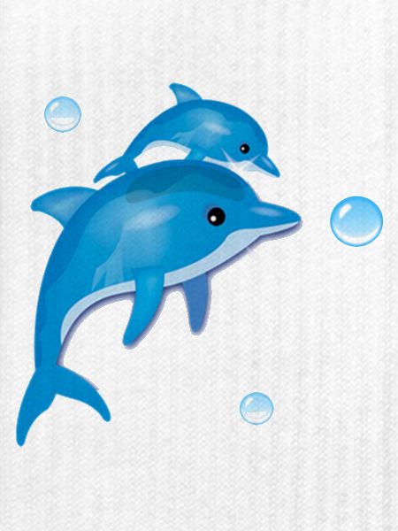 Dolphin