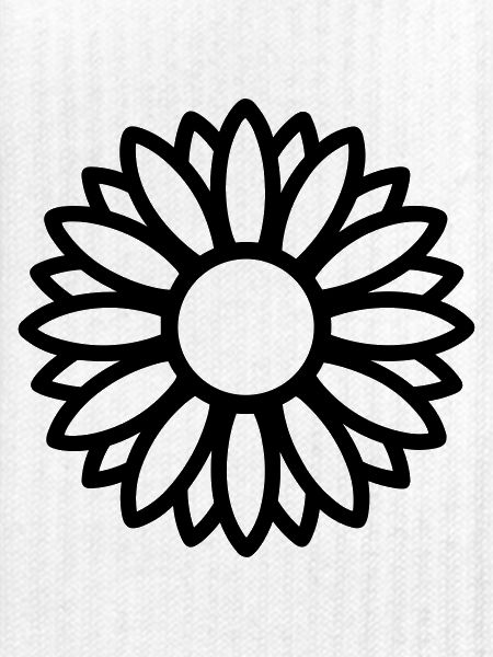 Sonnenblume