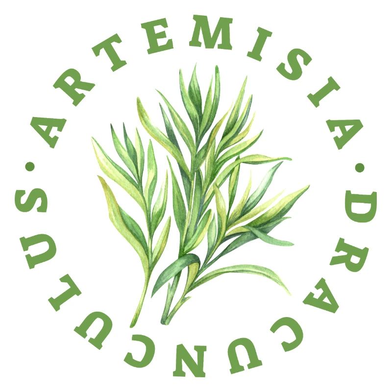 Artemisia Dracunculus Blattemblem