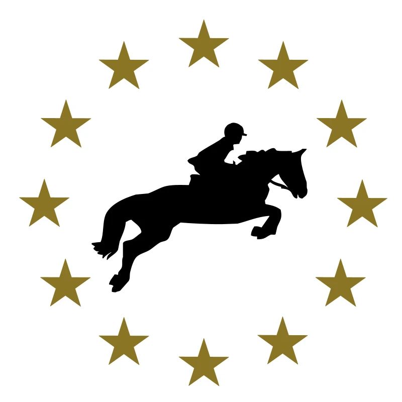 Springen Pferd & Sternen