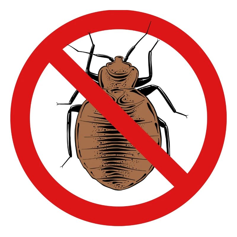 bed bug, bed bug