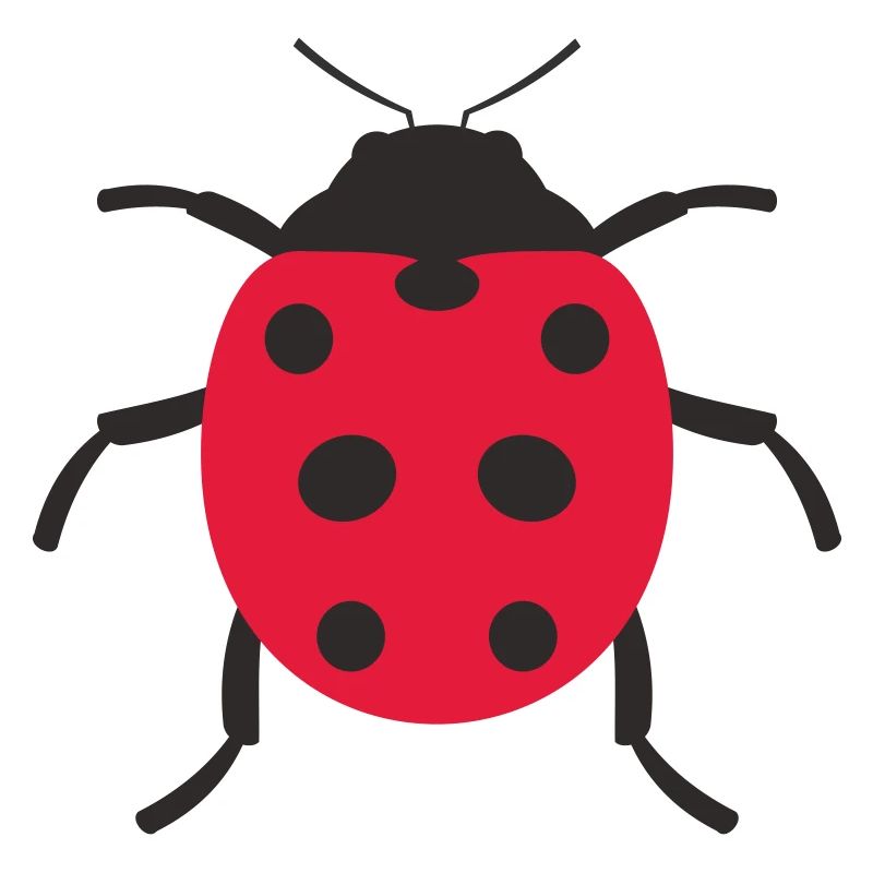 Conception de coccinelle
