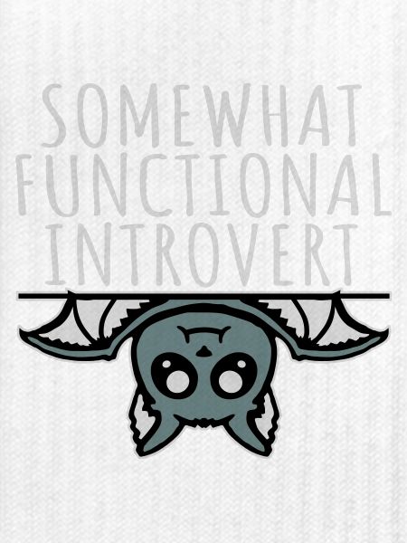 Somewhat Functional Introvert Süße Fledermaus