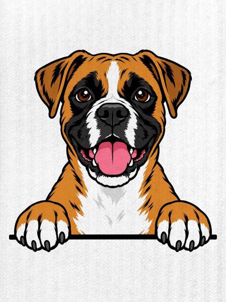 Boxer