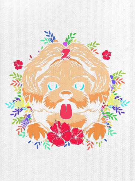 Shih Tzu