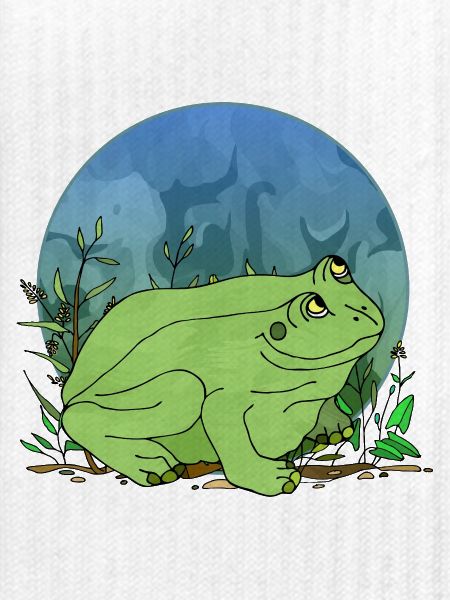 Frosch