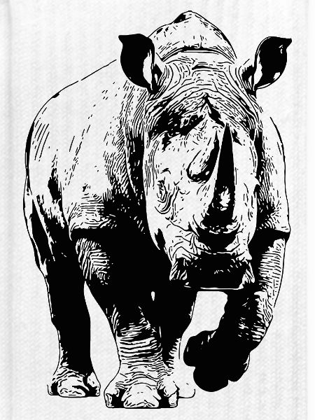 Nashorn