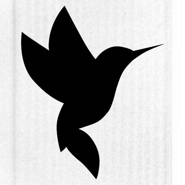 Astro COLIBIR logo black