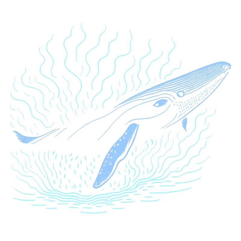 Grande baleine