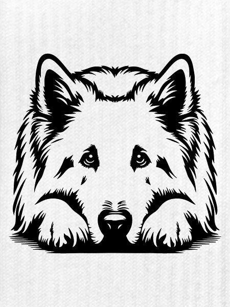Schweizer Schäferhund