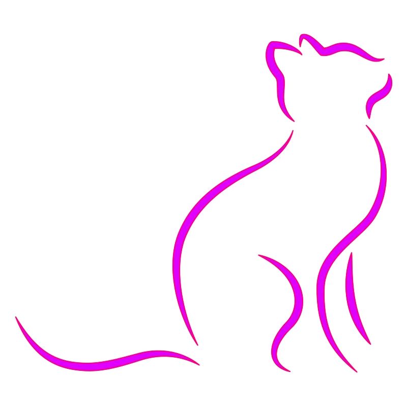 chat