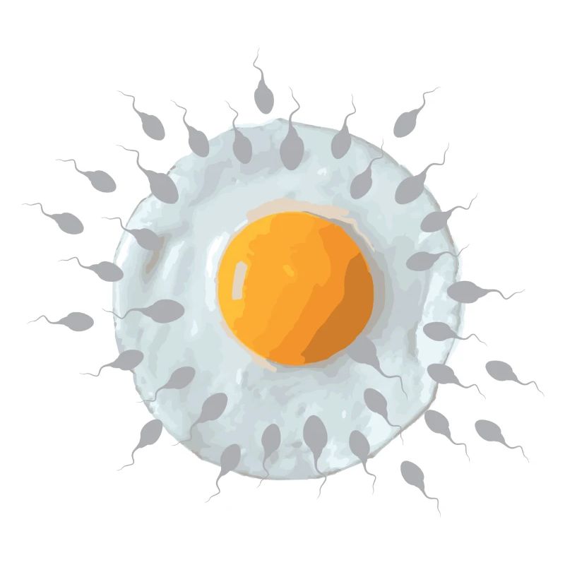 Frühstücksei