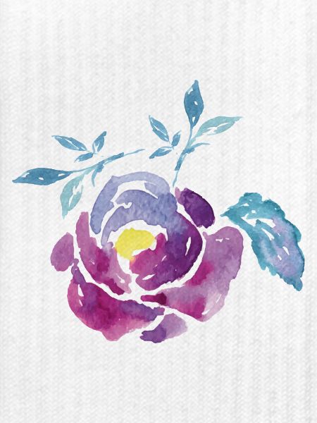 Wasserfarbene Rosenblüte