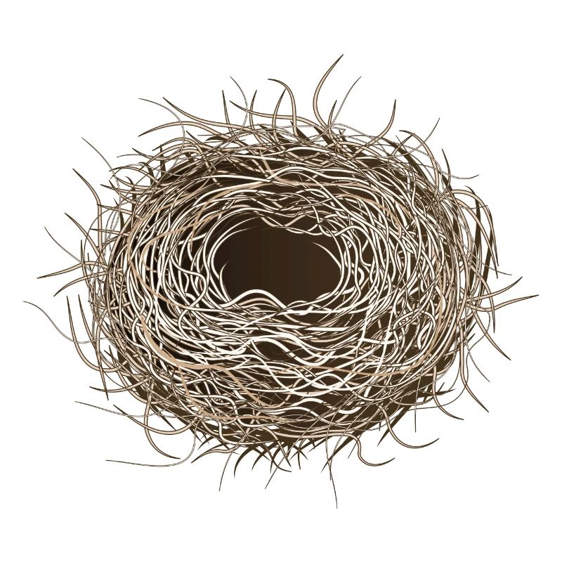 empty bird's nest or easter basket for spring