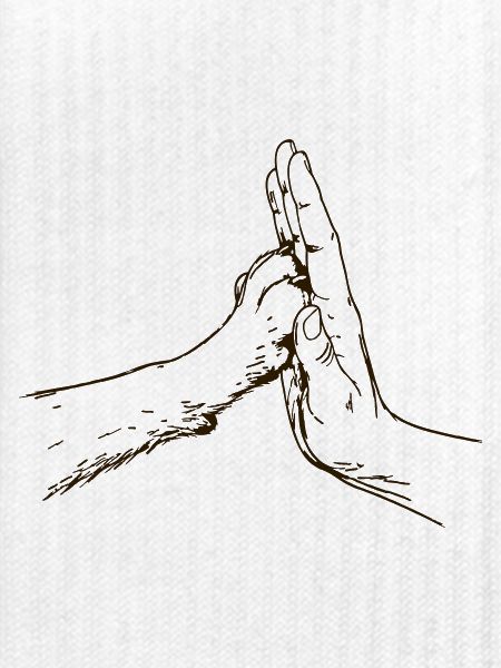 hand-pfote