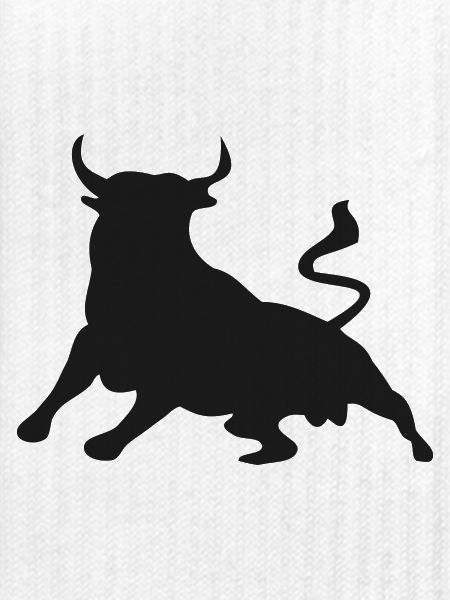 Stier