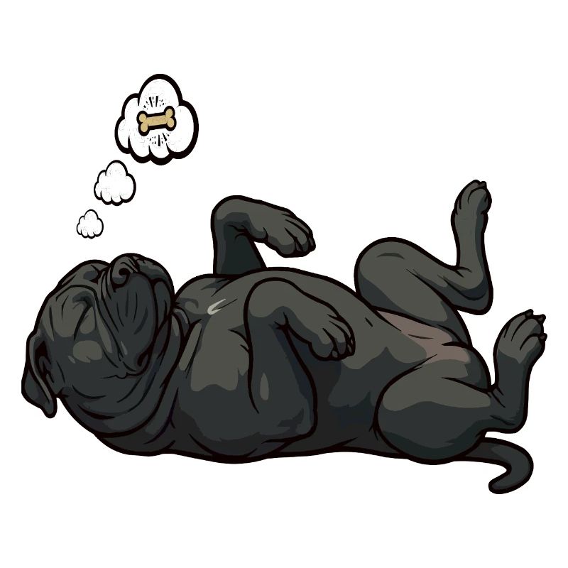 Cane Corso Cane Corsos Corso halter Corso Besitzer