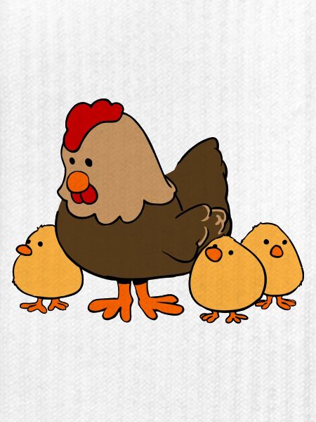 Chicken family