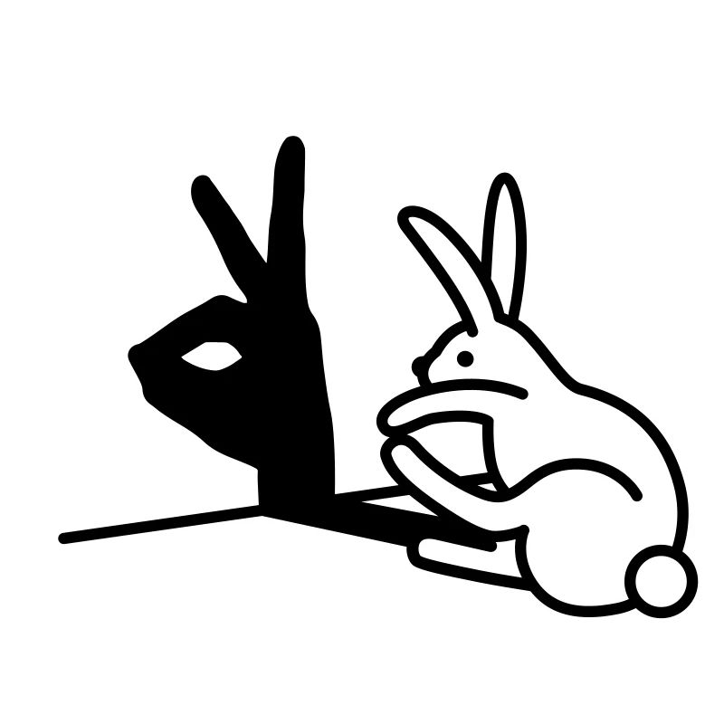 Funny Rabbit Hand Shadow Projection Rabbit