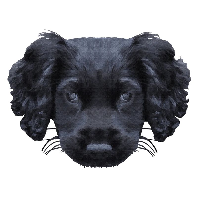 weihnachtsgeschenke für jedermann, Cocker spaniel