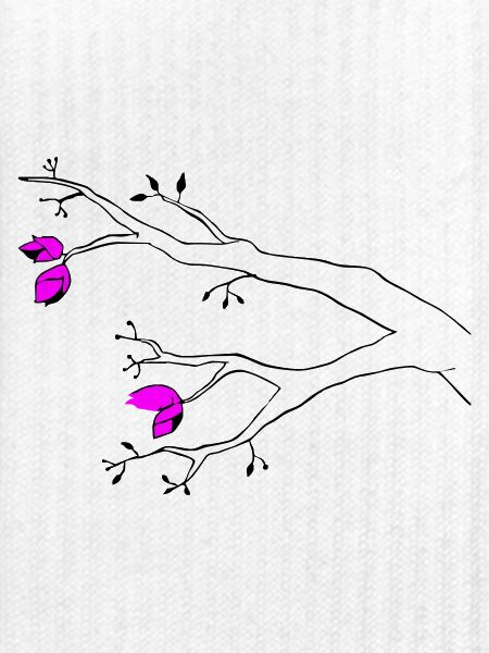 Bud
