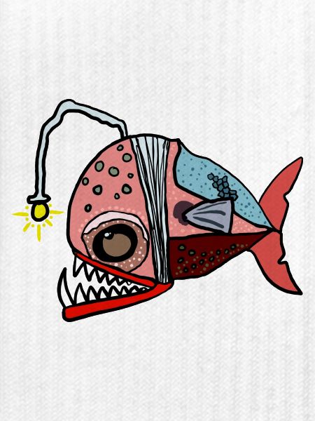 Fischkollage mit Lampenblick Anglerfisch