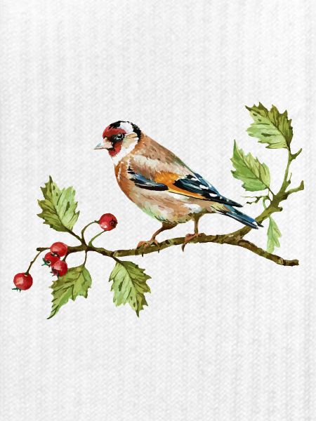 Bunter Vogel