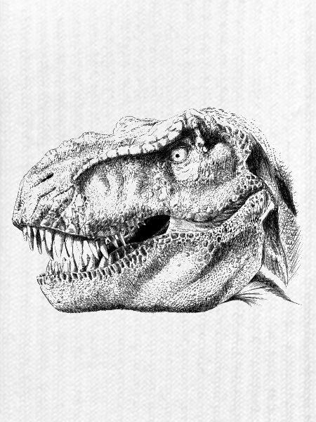 Dinosaur 
